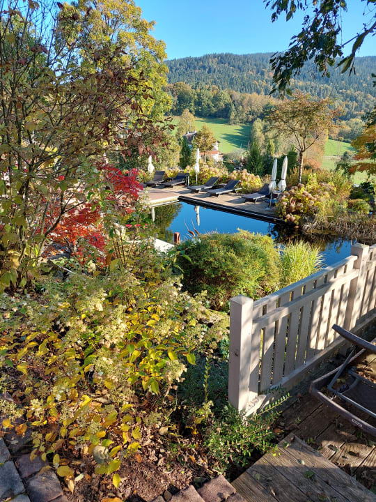 Ausblick Hotel Sterr
