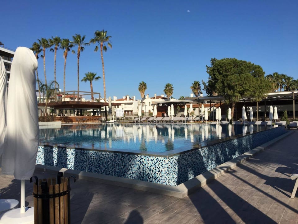 Pool Acanthus Cennet Barut Collection