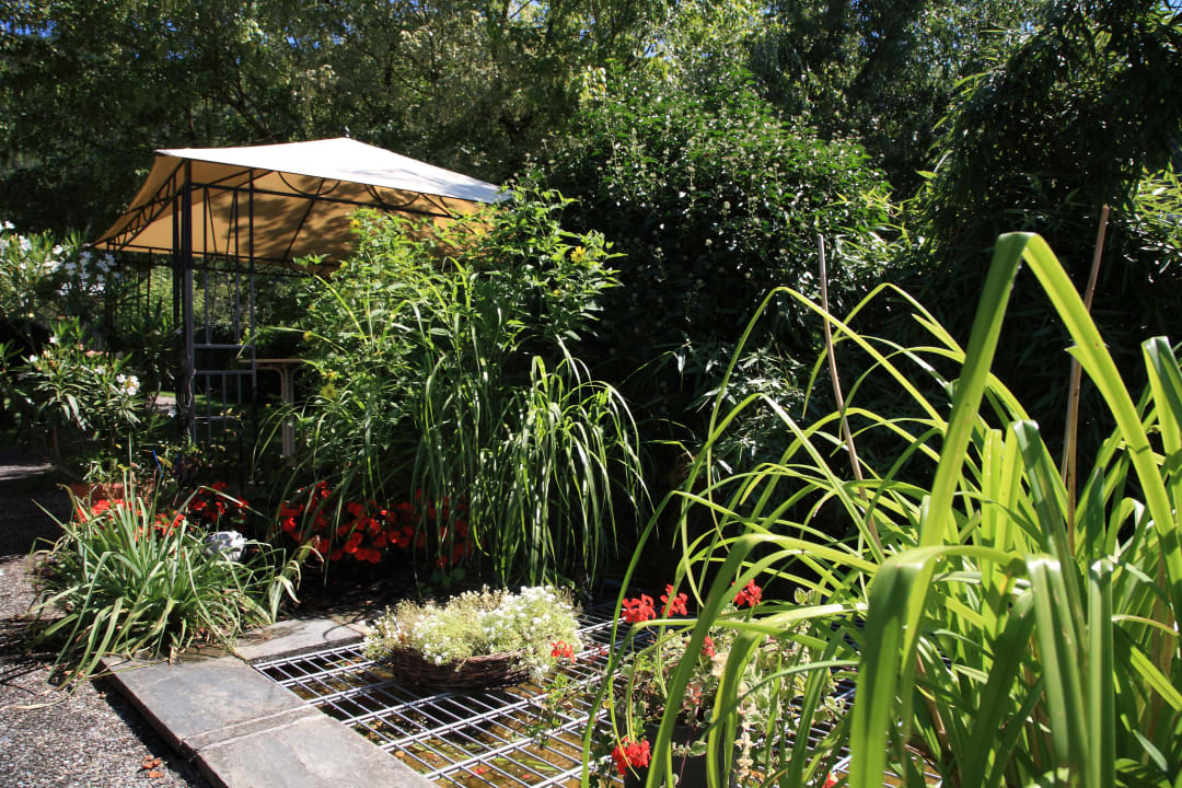 Garten Relax- & Vitalhotel Adler