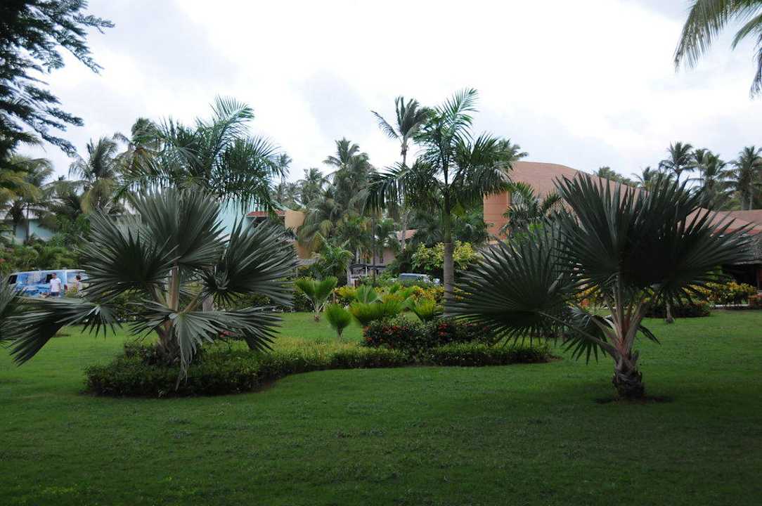 Gepflegte Gartenanlage  Grand Palladium Select Bávaro Resort & Spa