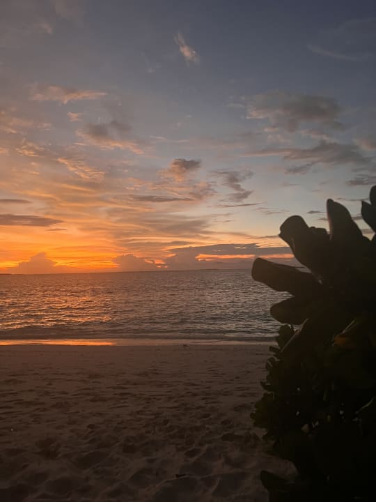Strand NH Collection Maldives Reethi Resort