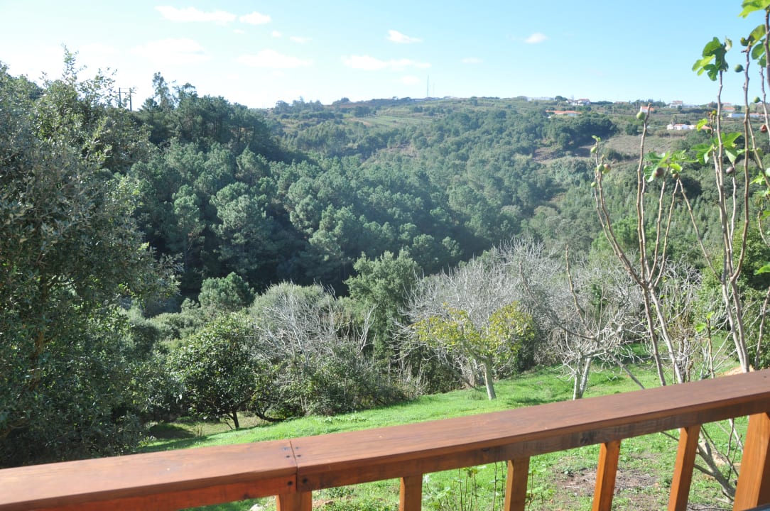 Gartenanlage Quinta do Bom Vento