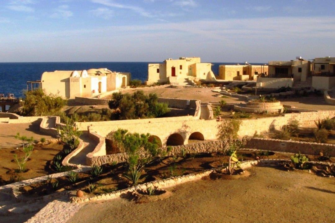 Gelände vom Hauptgebäude aus The Oasis Dive Resort