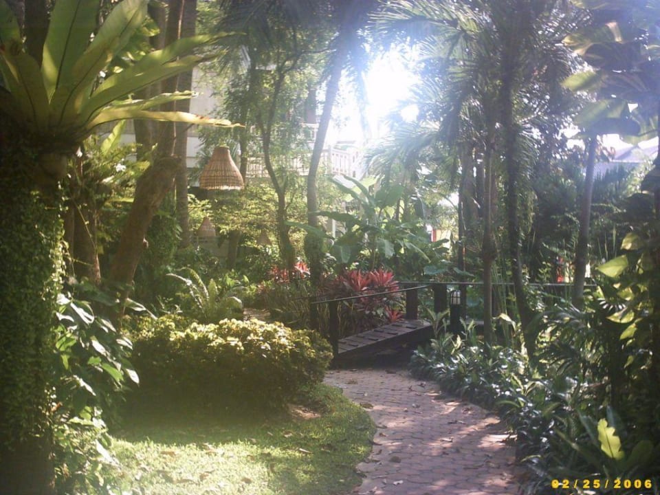 Gartenanlage Pullman Pattaya Hotel G