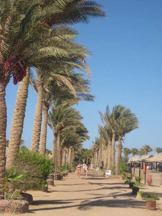Marinaweg zum Riff Arabia Azur Resort