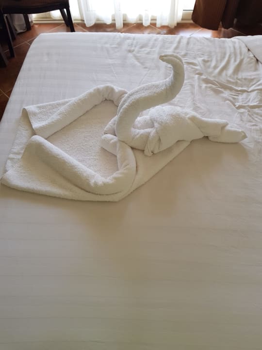 Zimmer Three Corners Sea Beach Resort