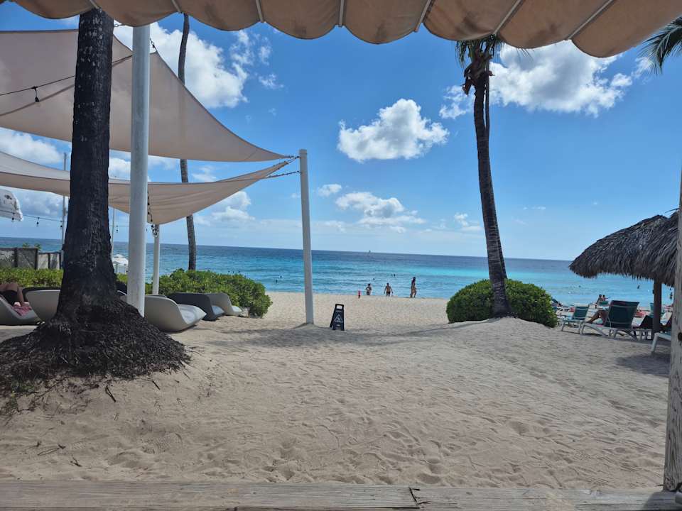 Strand Catalonia Royal La Romana - Adults only