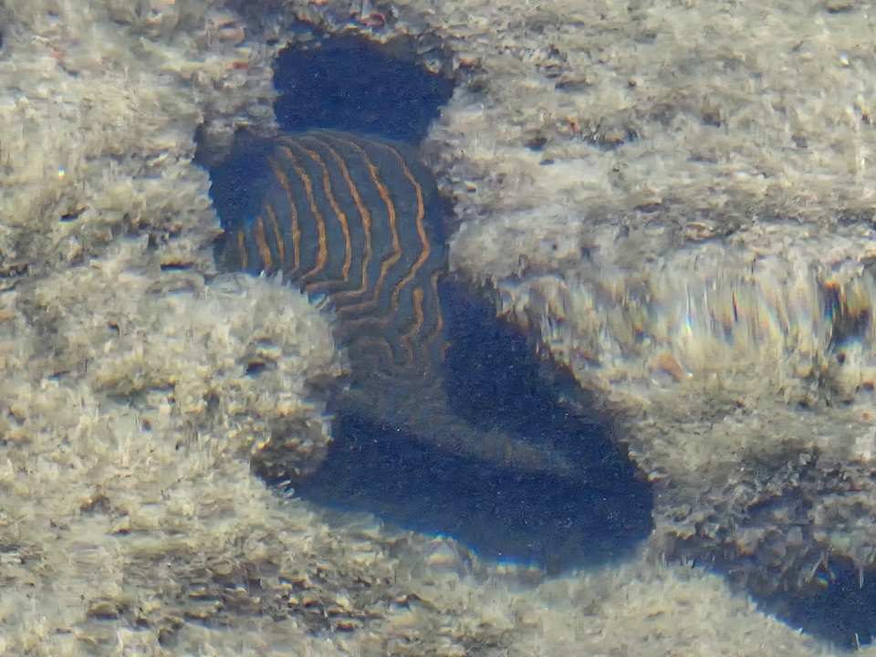 Strand Brayka Bay Resort