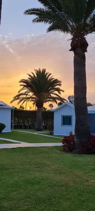 Gartenanlage Canary Garden Club