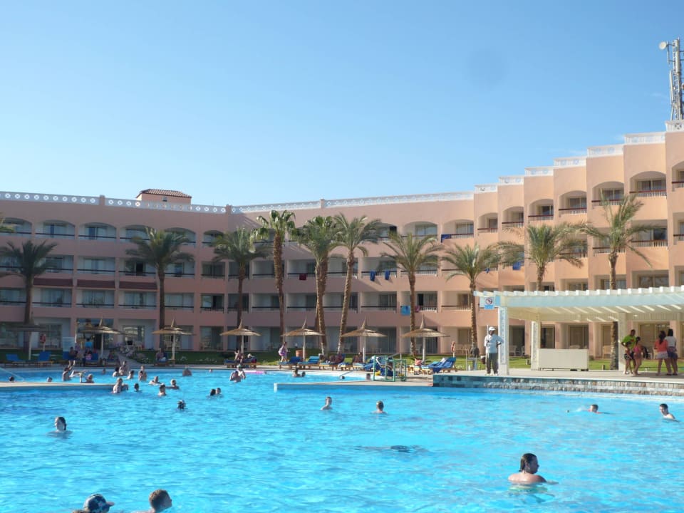Blicknauf den Pool Beach Albatros Resort
