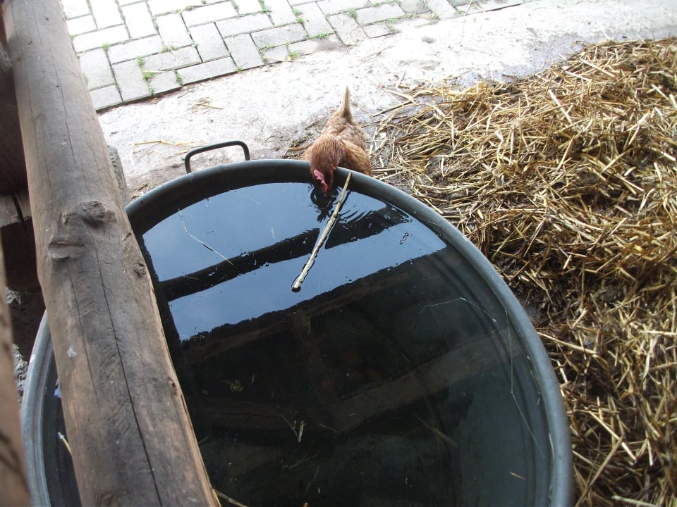 Sonstiges Wiesenberghof