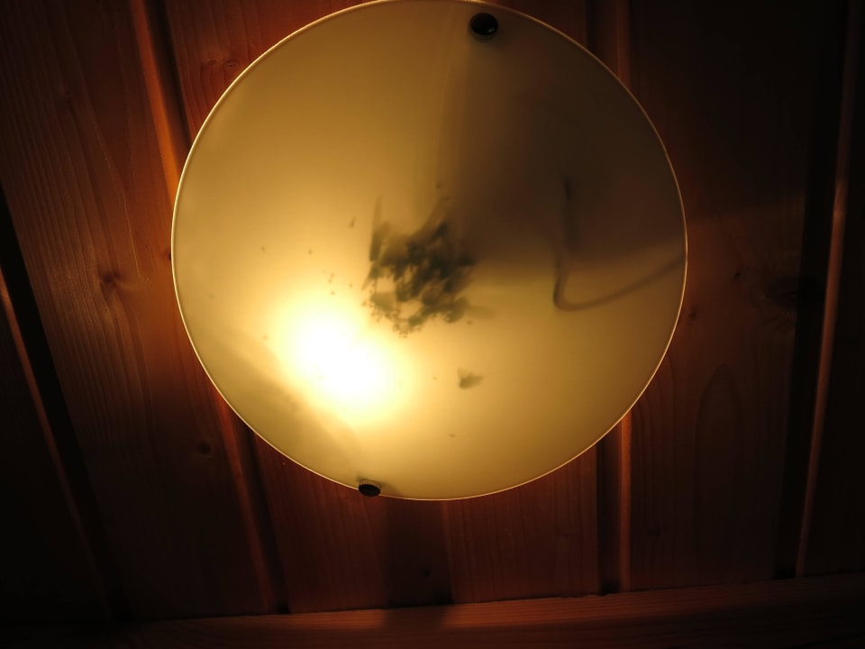 Insektensammlung Feriendorf Aineck Katschberg