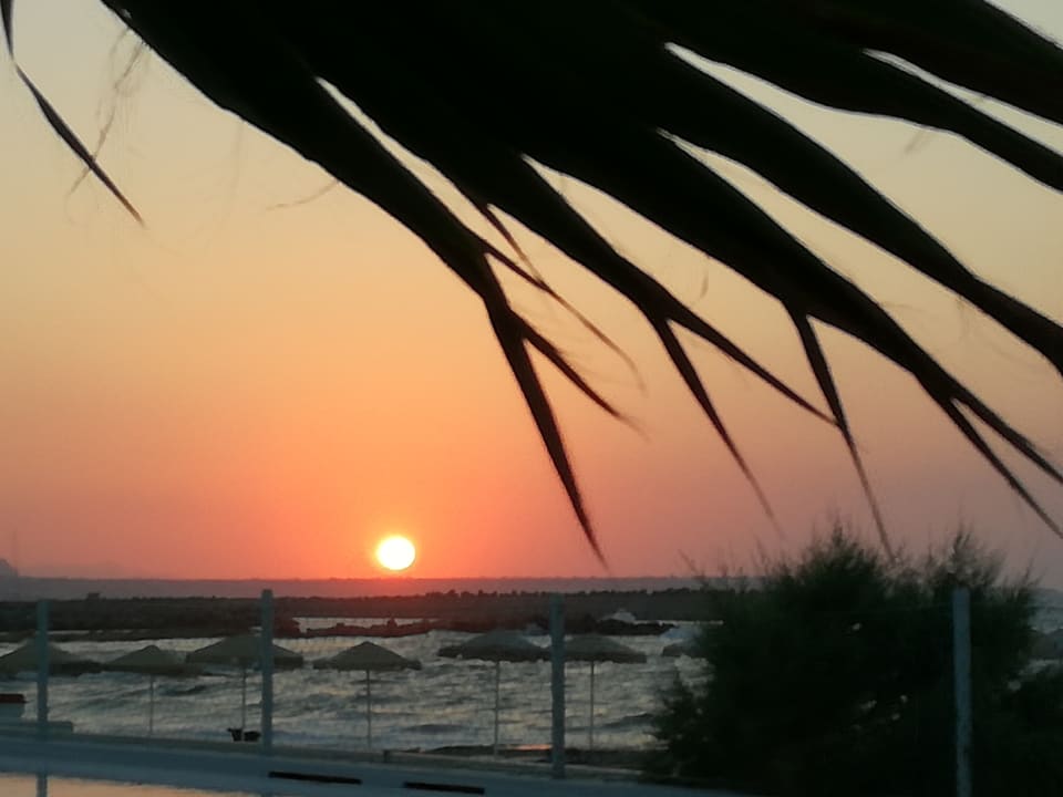 Ausblick allsun Hotel Carolina Mare