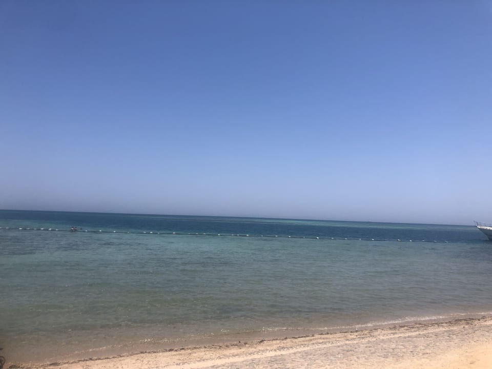 Strand Sea Star Beau Rivage