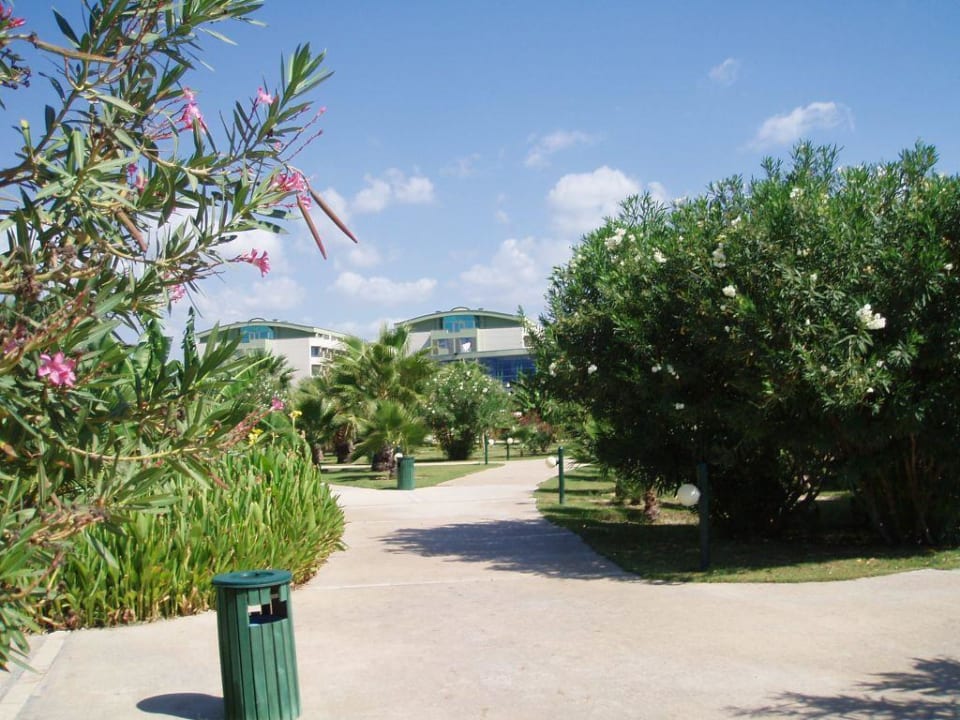 Weg vom Strand zum Hotel VONRESORT Golden Coast