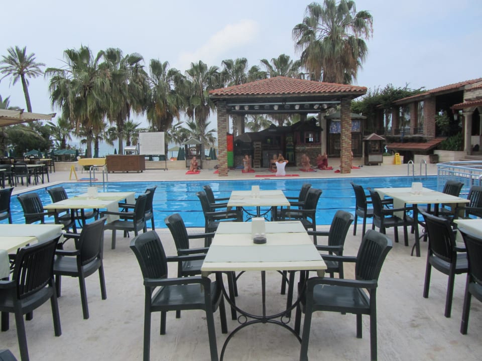 Hotel Sea Gull/Seagull Hotel Sea Gull/Seagull