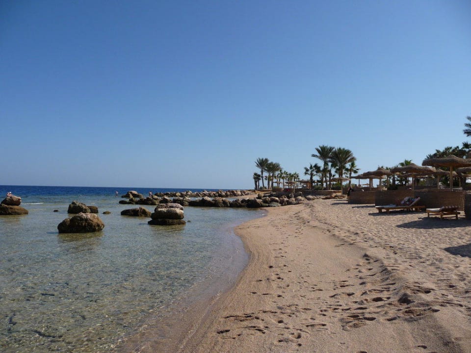 Strand mit Riffdach  Pickalbatros Citadel Resort