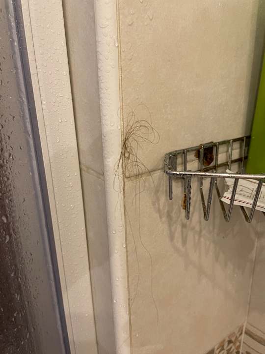 Zimmer Katti House - Florence's center