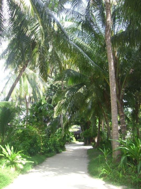 Inselweg Kuramathi Maldives