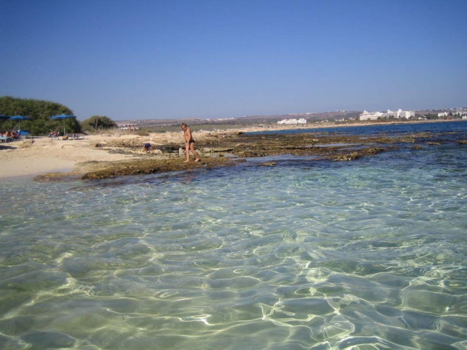 glasklares Meer Asterias Beach
