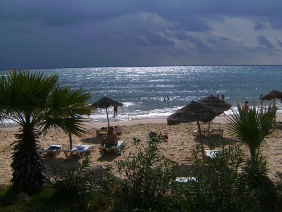 Ausblick zum Strand TUI BLUE Palm Beach Hammamet