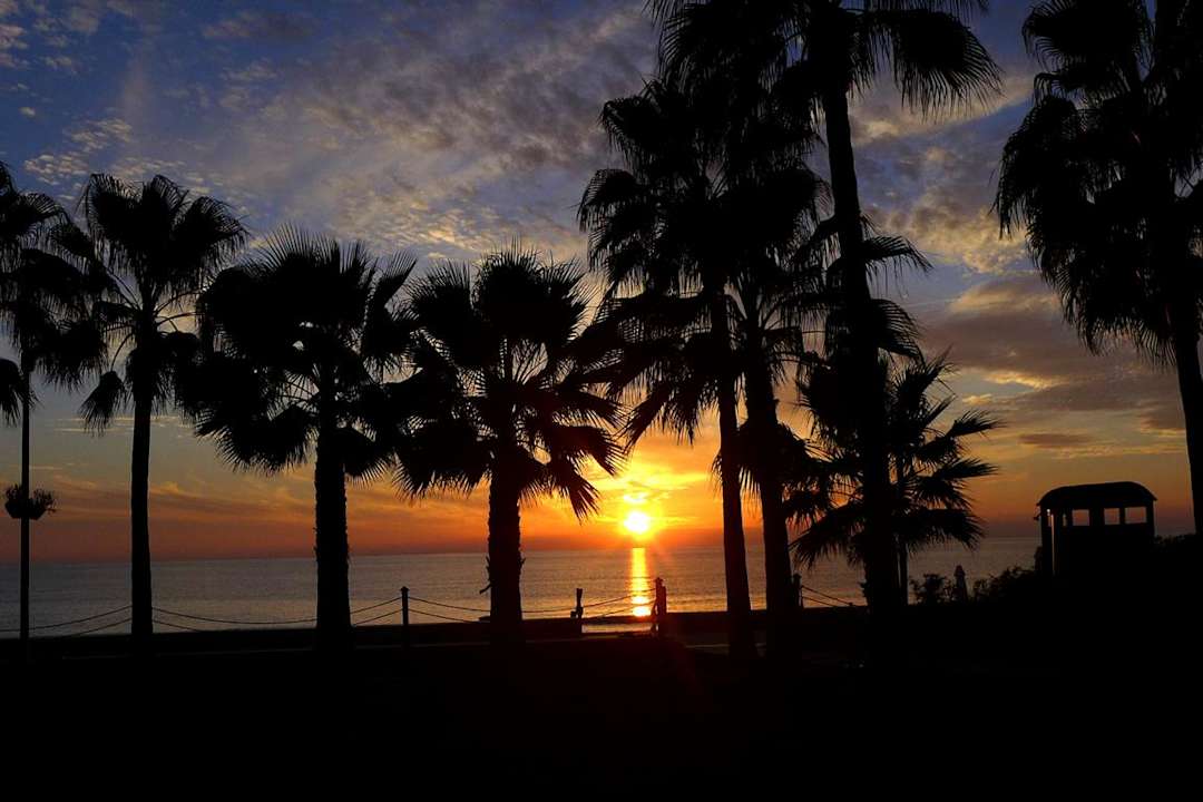 Ausblick Acanthus Cennet Barut Collection