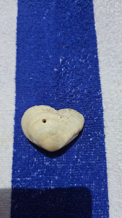 Strand Bliss Nada Beach Resort