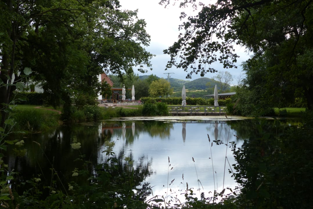 Gartenanlage Biohotel Stiftsgut Wilhelmsglücksbrunn
