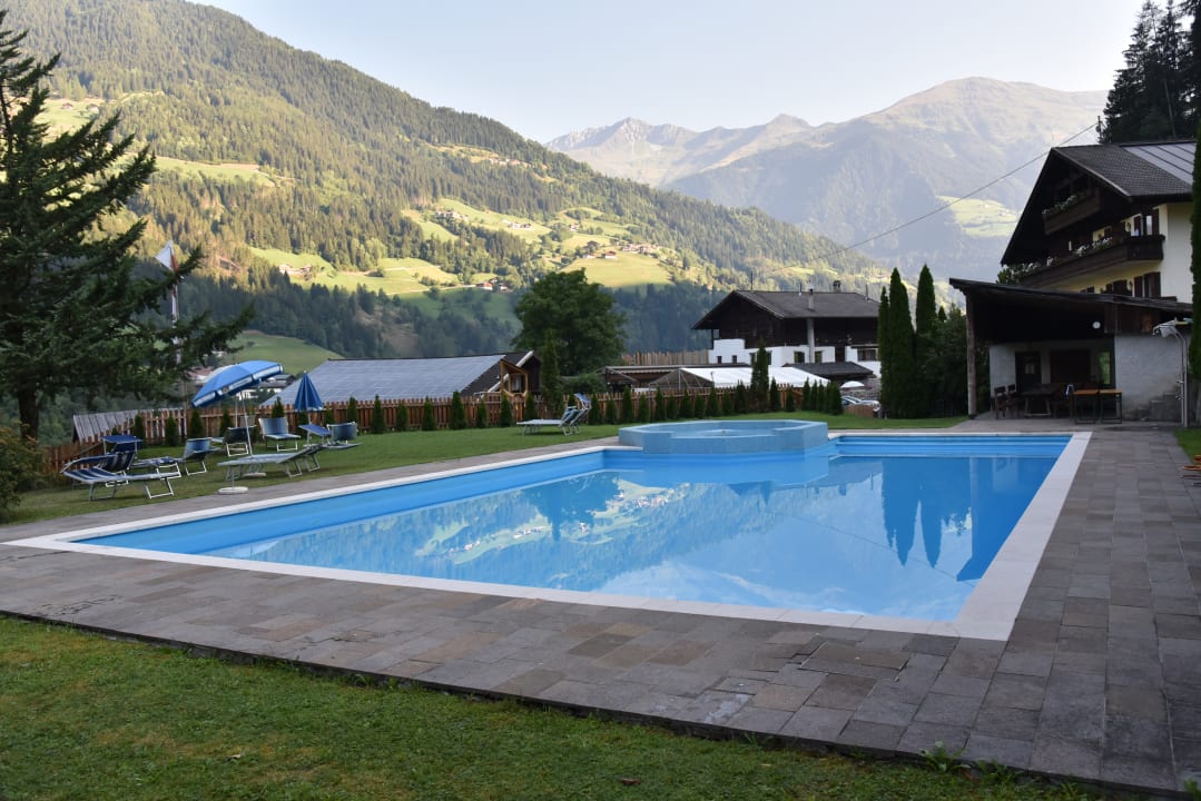 Pool Pension Haselstaude