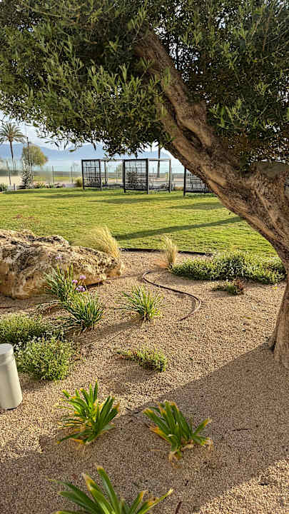 Gartenanlage Hipotels Flamenco