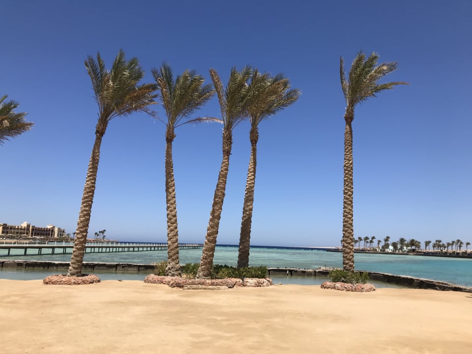 Ausblick Arabia Azur Resort