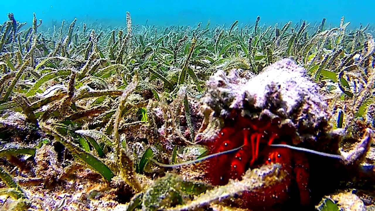 Sport & Freizeit Adaaran Select Hudhuran Fushi - Premium All Inclusive