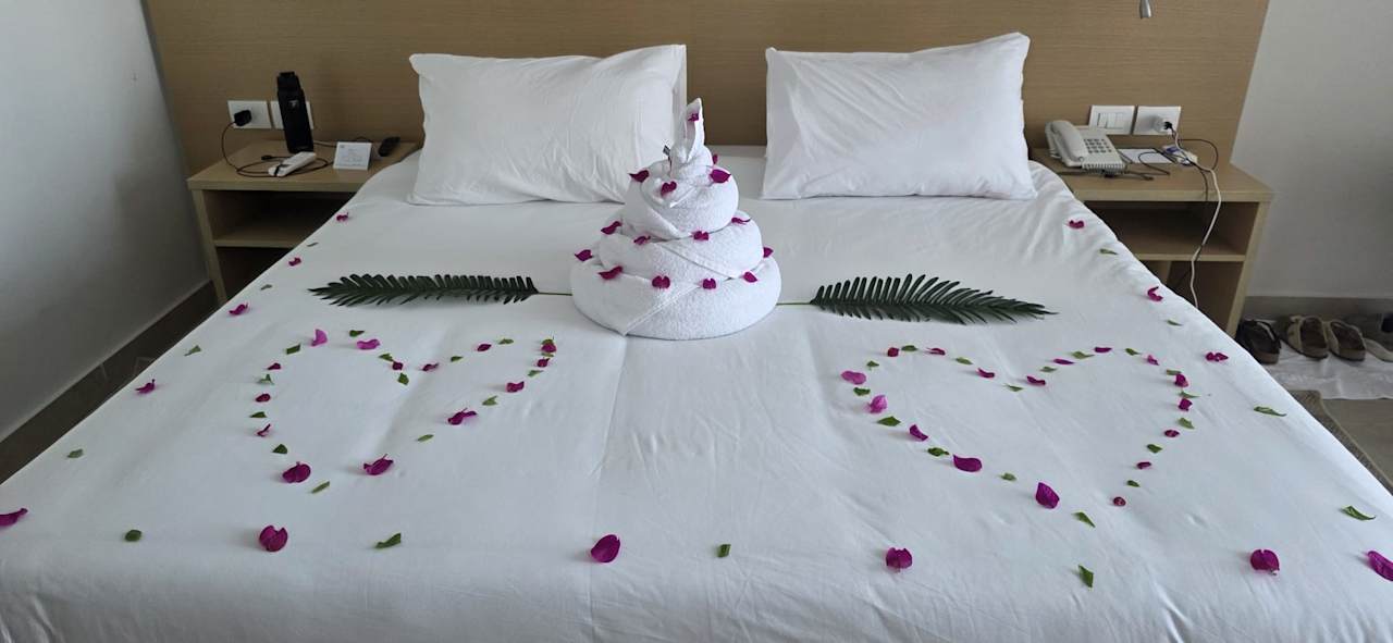 Zimmer JAZ Elite Asteria