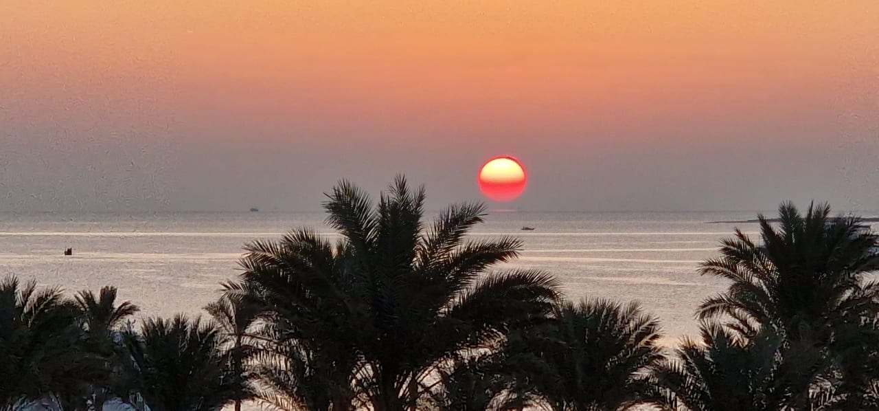 Ausblick Continental Hotel Hurghada