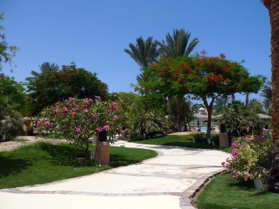 Gartenanlage Schwesternhotel Grand Makadi Makadi Palace