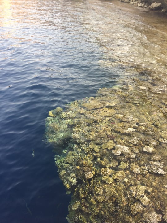 Strand The Grand Hotel Sharm El Sheikh