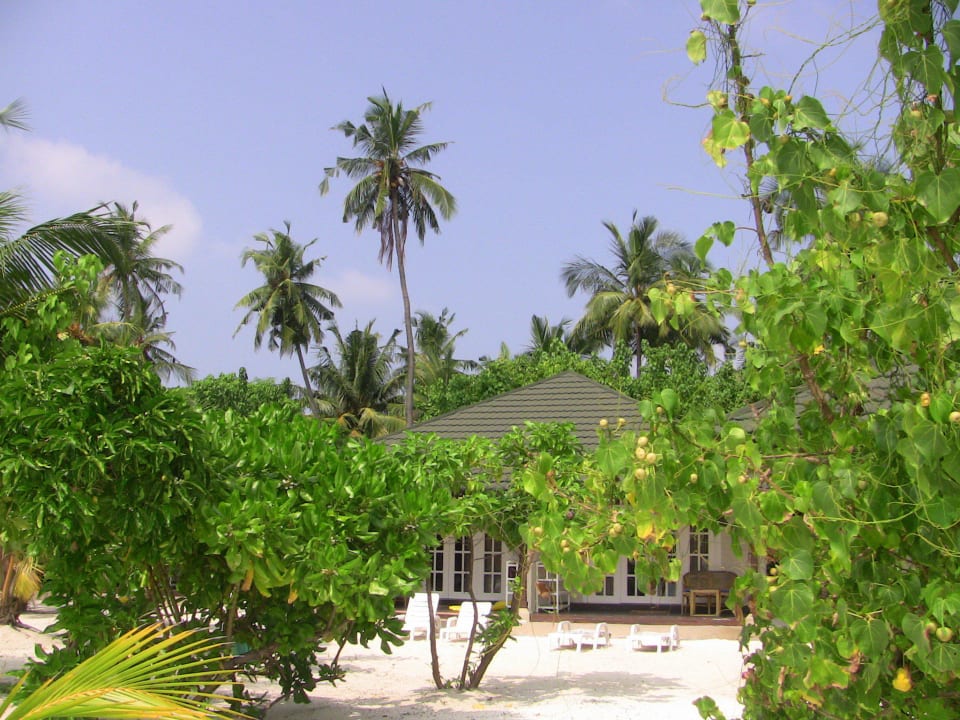 Nr. 159 Adaaran Select Meedhupparu Island Resort - Premium All Inclusive