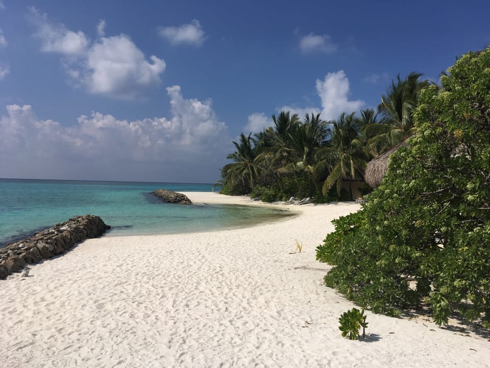 Meine Lieblingskulisse Summer Island Maldives