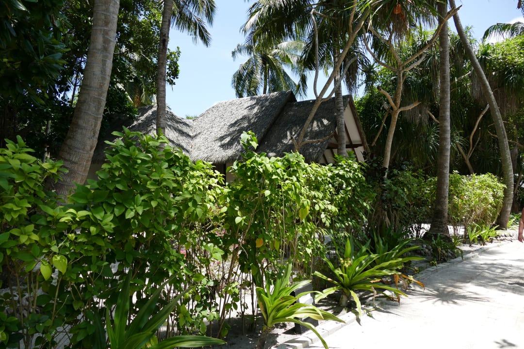 Gartenanlage Adaaran Select Meedhupparu Island Resort - Premium All Inclusive
