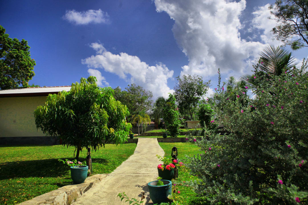 Gartenanlage Jungle Paradise