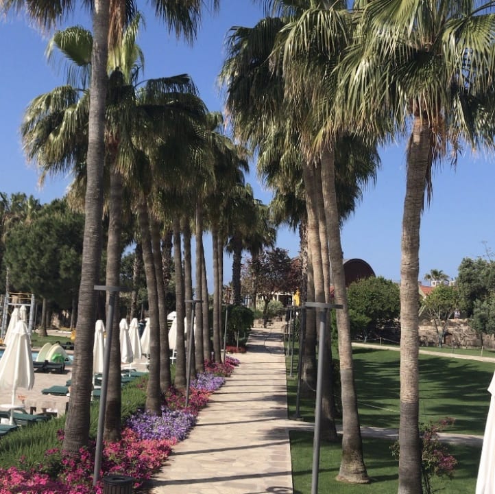 Gartenanlage Arum Barut Collection