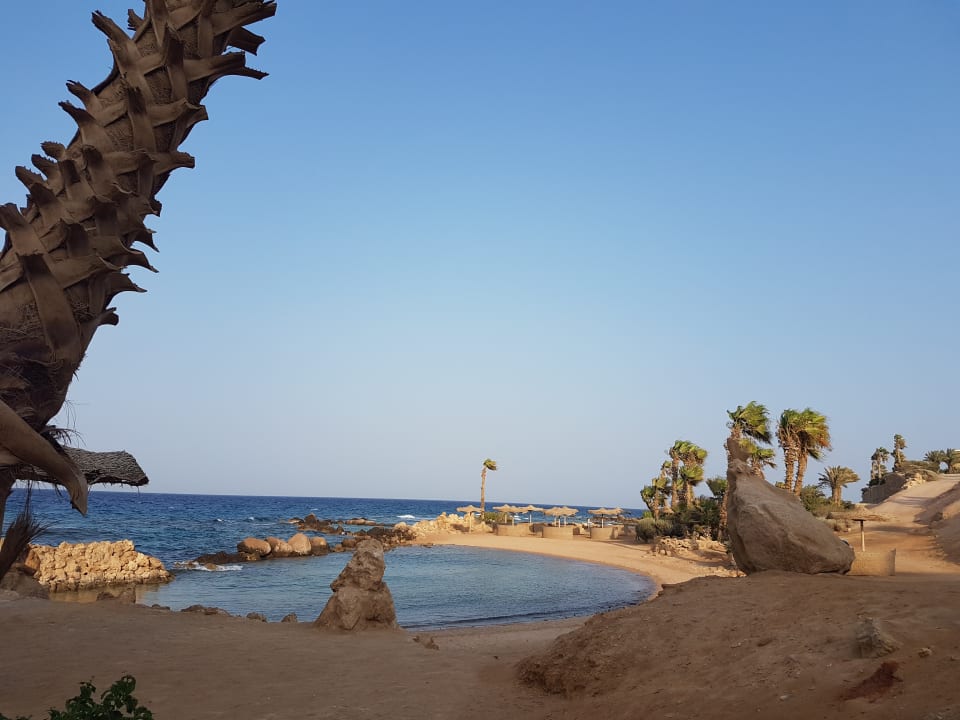 Strand Pickalbatros Citadel Resort