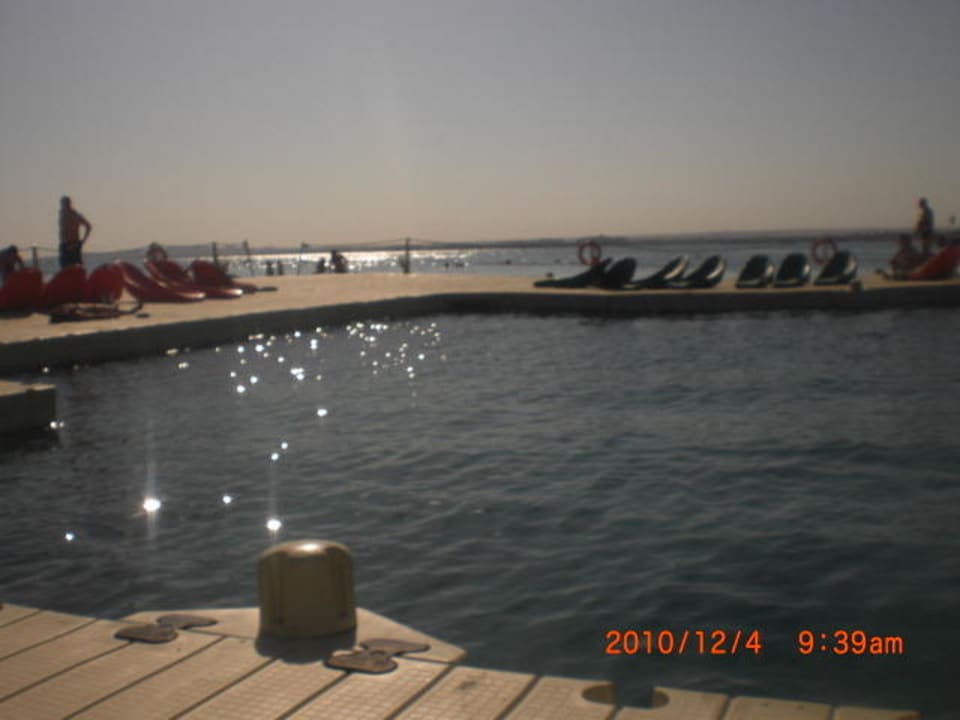 Steg am Meer Pickalbatros Palace Resort