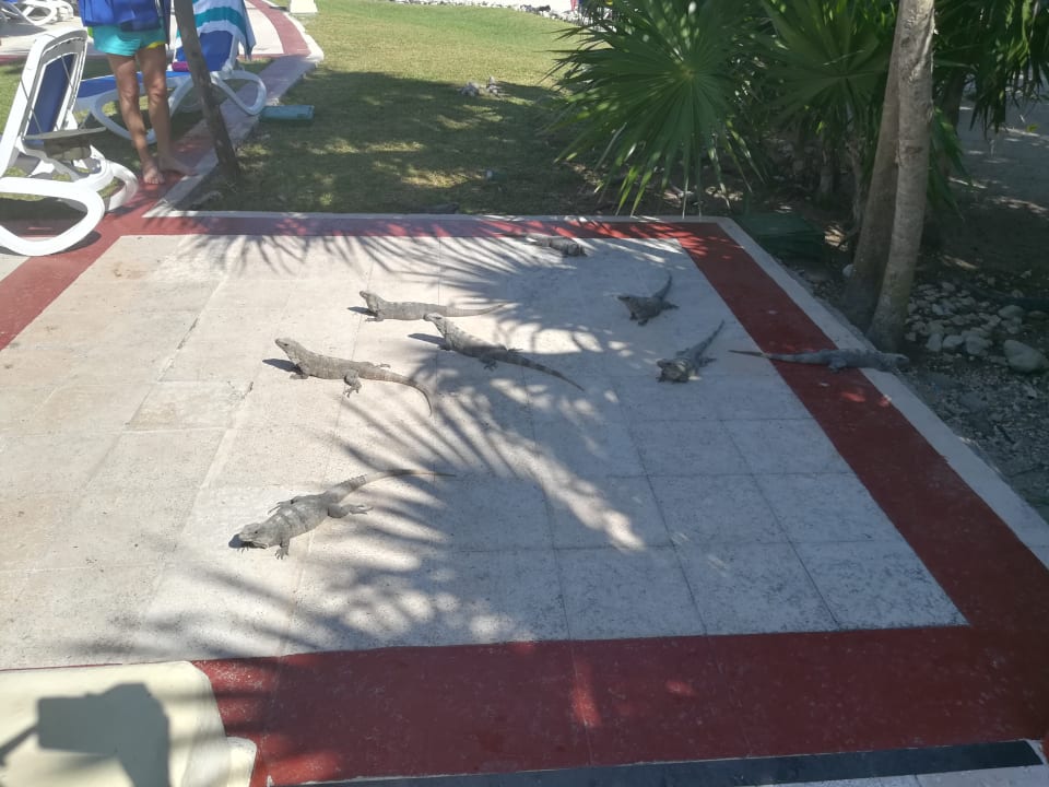 Gartenanlage Bahia Principe Grand Tulum