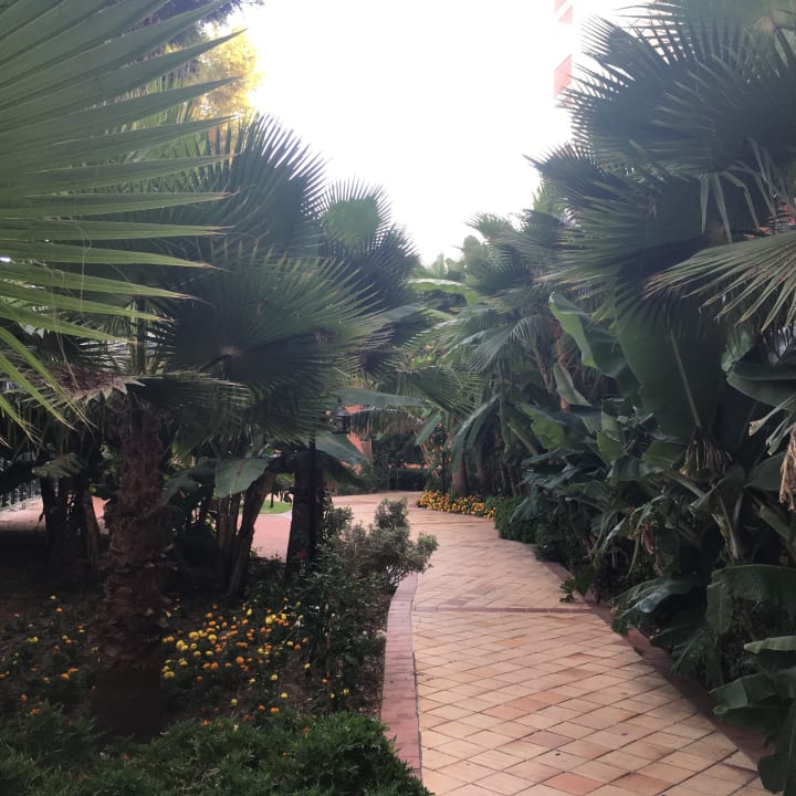 Gartenanlage Club Dizalya