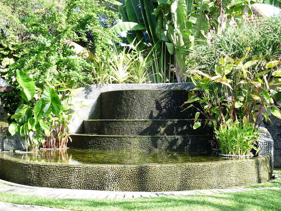 Voll mit Fischchen Puri Santrian