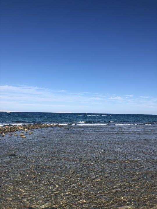 Ausblick Desert Rose