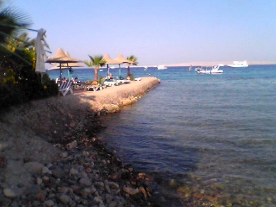 Blick vom Liegestuhl Bella Vista Resort Hurghada