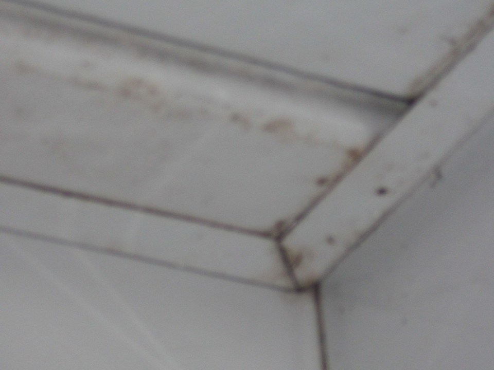 Schimmel Melia Las Antillas - Adults only