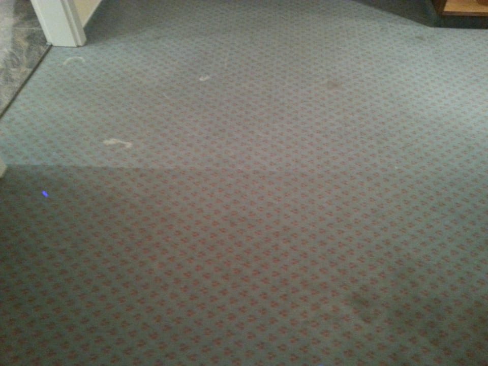 Teppichboden in unserem Zimmer Entrée Hotel Glinde